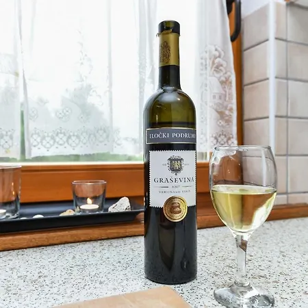 Druzinec 아파트 비르